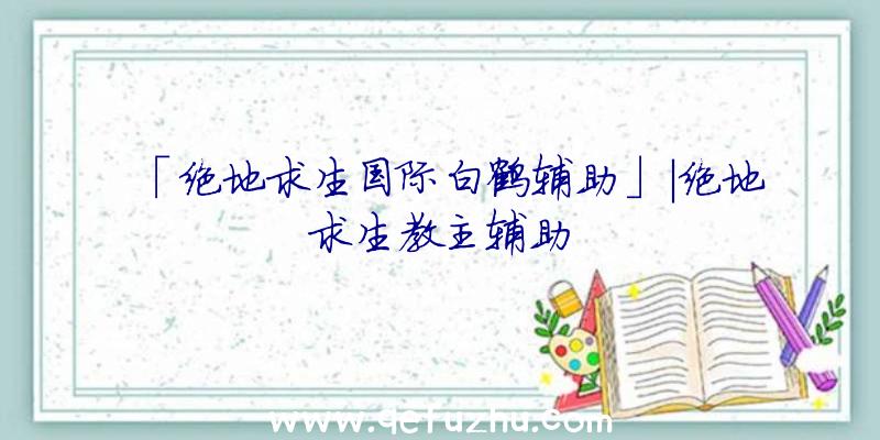 「绝地求生国际白鹤辅助」|绝地求生教主辅助